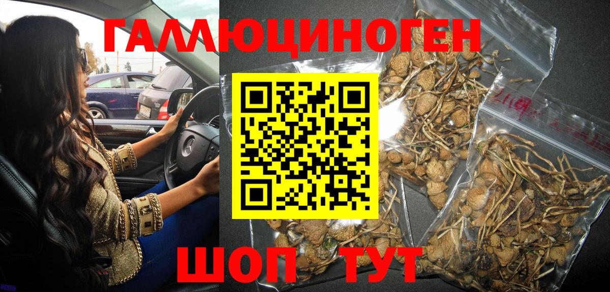 Псилоцибиновые грибы мухоморы Знаменск