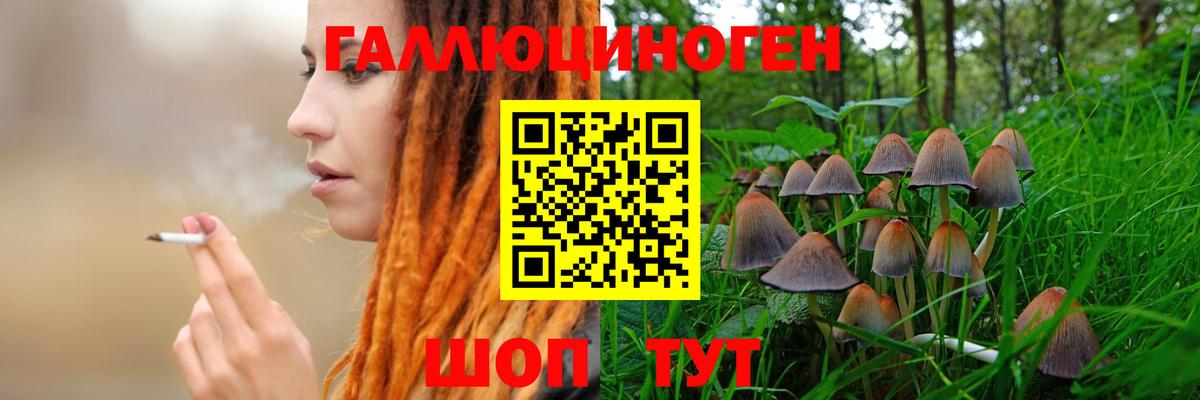 Знаменск  Галлюциногенные грибы MAGIC MUSHROOMS  Вход с VPN  Псилоцибиновые грибы Psilocybine cubensis 